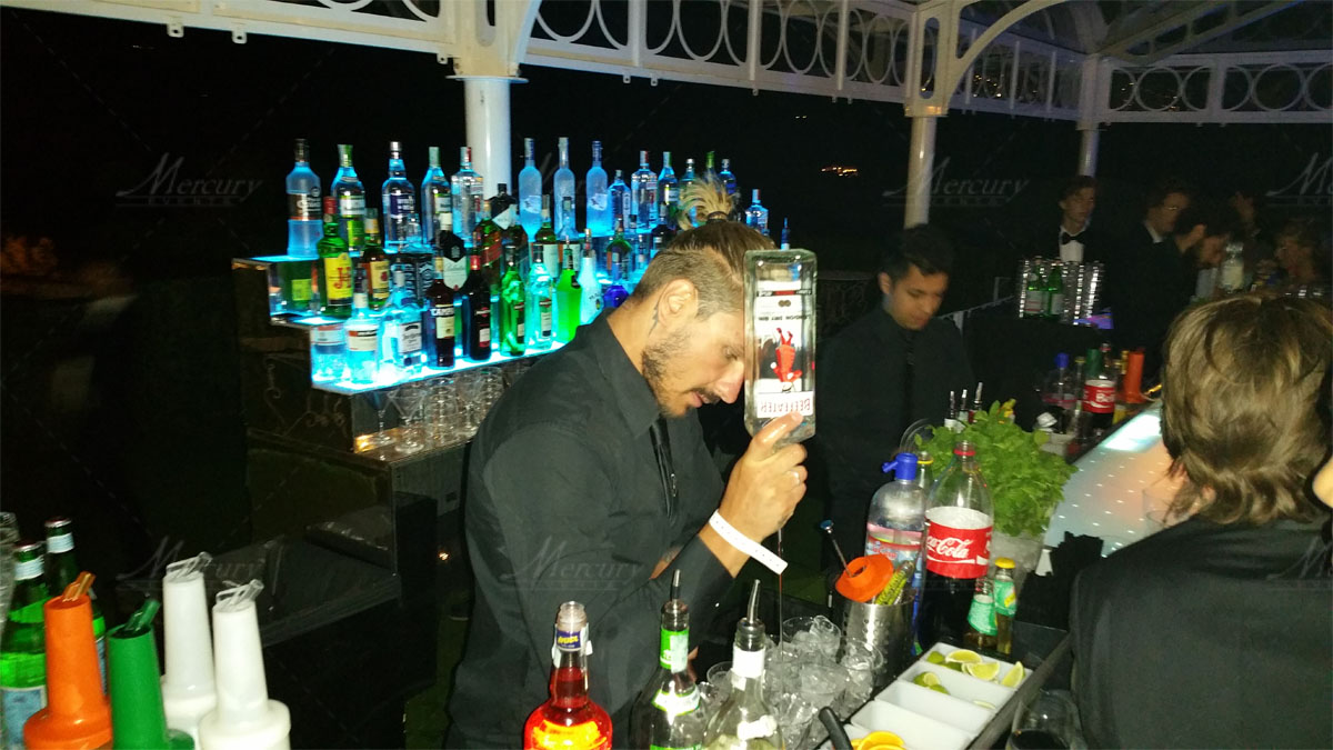 Mixology Bartender